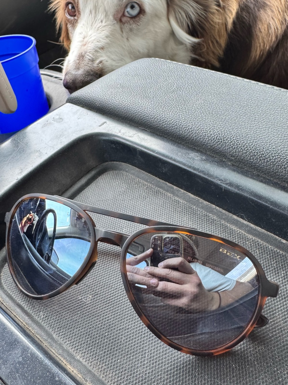 Bex Wesley Sunglasses